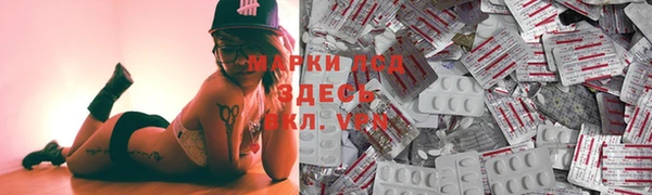spice Новодвинск
