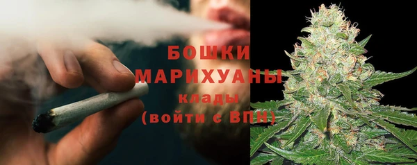 spice Новодвинск
