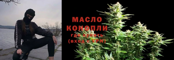 крисы Няндома