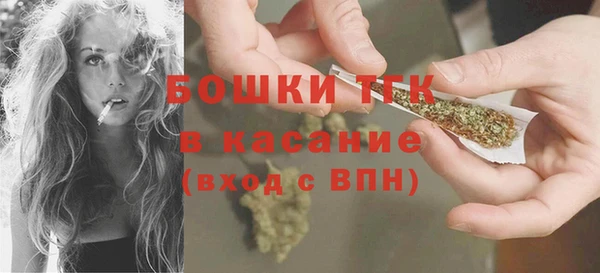 spice Новодвинск