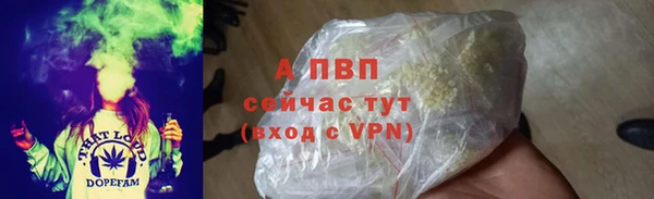 spice Новодвинск