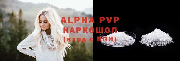 spice Новодвинск