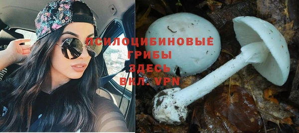 spice Новодвинск