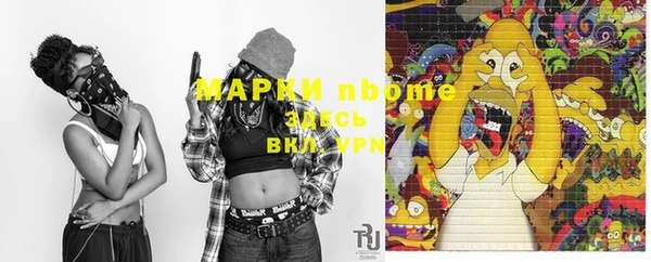 spice Новодвинск