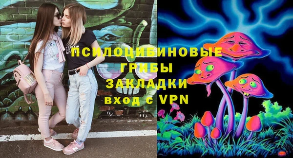 spice Новодвинск