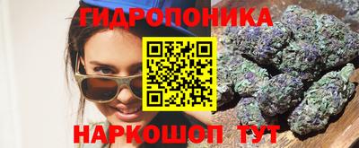 гашик Дубна