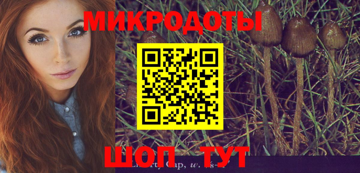 Псилоцибиновые грибы Psilocybine cubensis Острогожск