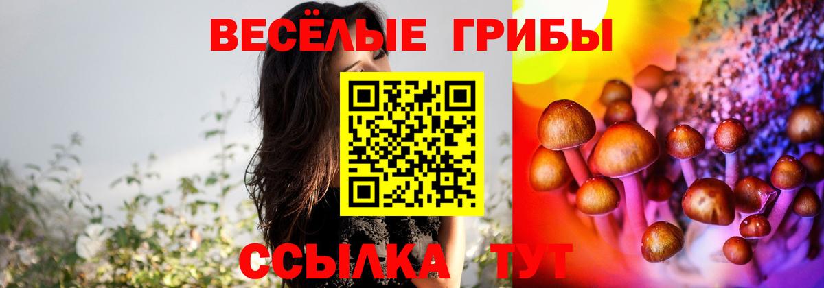 Галлюциногенные грибы GOLDEN TEACHER  Острогожск  Галлюциногенные грибы ЛСД 